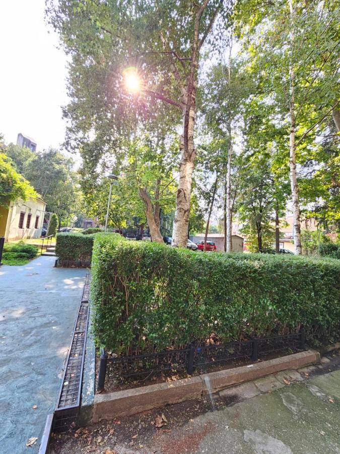 Booking Apartments Alone 1 Beograd Eksteriør bilde
