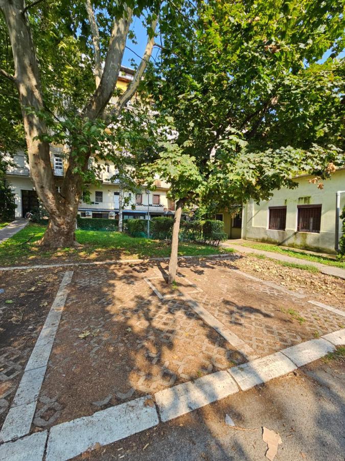 Booking Apartments Alone 1 Beograd Eksteriør bilde